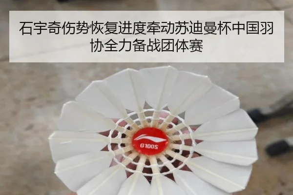 shi-yu-qi-shang-shi-hui-fu-jin-du-qian-dong-su-di-man-bei-zhong-guo-yu-xie-quan-li-bei-zhan-tuan-ti-sai-3-528.jpg