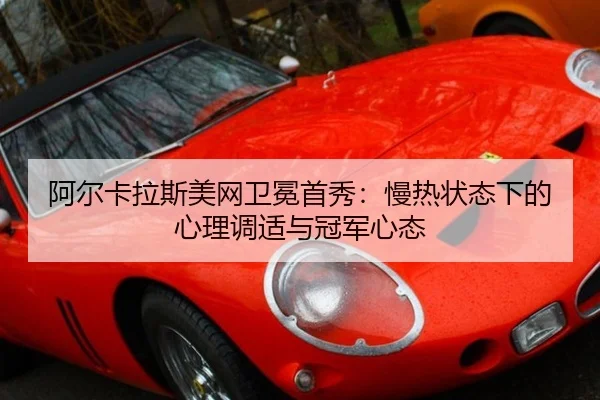 a-er-ka-la-si-mei-wang-wei-mian-shou-xiu-man-re-zhuang-tai-xia-de-xin-li-tiao-shi-yu-guan-jun-xin-tai-3-622.jpg