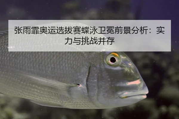 张雨霏奥运选拔赛蝶泳卫冕前景分析：实力与挑战并存