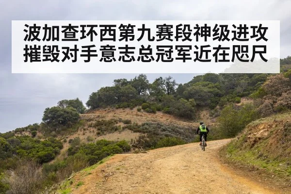 波加查环西第九赛段神级进攻摧毁对手意志总冠军近在咫尺