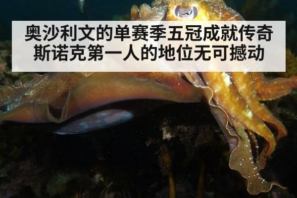 奥沙利文的单赛季五冠成就传奇 斯诺克第一人的地位无可撼动